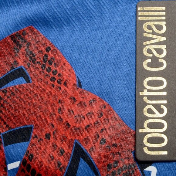 Roberto Cavalli Men's Royal Blue Medium Graphic Print Crewneck T-Shirt - Picture 11 of 11
